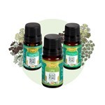 Boti-K Lata Oleum Essential Fluir #2