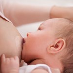 Avent Pezoneras Mariposa Pequeñas Scf153/01 (2 Unidades) #5