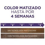 Excellence Kit Coloracion Matizador Supreme 47 gr 6.17 Rubio Oscuro Cenizo Matte #6