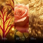 Zimaya Fatima Pink Edp Woman Afnan 100 ml #2