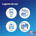Desinfectante Multisuperficies Ayudin (envase Económico) 450 Ml #2