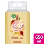Shampoo Sedal Jengibre & Ricino 650 Ml. #1