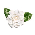 Nina Ricci Nina Soleil Edt Presentación 50 ml #4