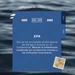 Suplemento Fish Oil Omega 3 Ena Comprimidos 60 #3