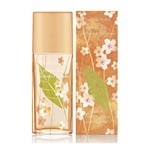 Elizabeth Arden Green Tea Nectarine For Woman EDT x 100 ML #2