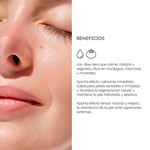 Crema Antiage Lifting Todo Tipo de Piel Alchemy 50 ml #2