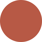 Labial Líquido SuperStay Matte Ink Tono Amazonian Maybelline #3