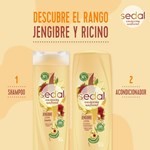 Shampoo Sedal Jengibre Y Ricino 190 Ml #4