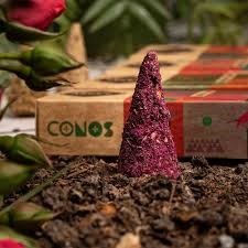 Sagrada Madre Sahumerio en Conos Pétalos de Rosa alt