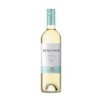 Benjamin Nieto Vino Cosecha Tardia Blanco Benjamin X750 Ml #1