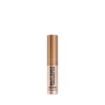 Rimmel London Multi Tasker Color 004 Chelsea Glow #1