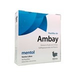 Pastillas de Ambay | 16 Pastillas |  Sabor Mentol | Extracto de Ambay  #1