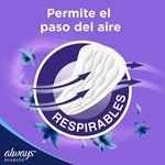 Protectores Diarios Respirables (80 Unidades) #8