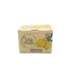 Shampoo Sólido Sentida Botánica Graso/Anticaspa x 100 g #1