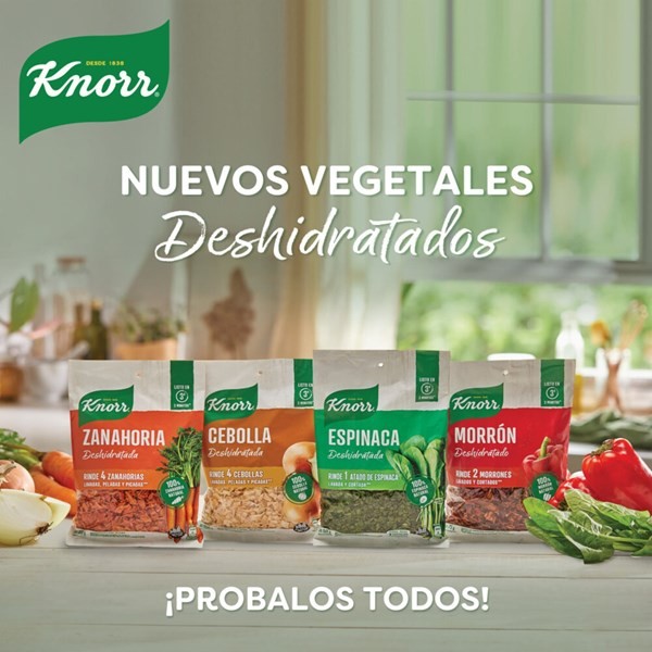 Vegetales Deshidratados Knorr Zanahoria 100 G. #1