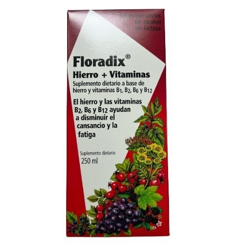 Floradix Jarabe 250 Ml | Suplemento dietario  #1