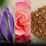 Edp Al Wataniah Thahaani x 100 ml #3