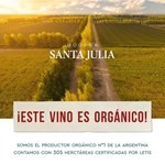 Vino Blanco Santa Julia Chenin Dulce Natural 750 Cc #4