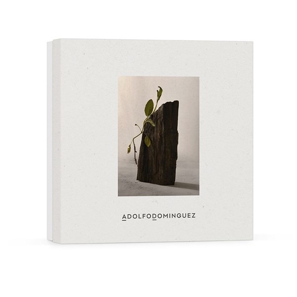 Adolfo Dominguez Ebano Salvia Cofre Edp Presentación 120 ml alt