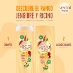 Acondicionador Sedal Jengibre Y Ricino 340 Ml #4