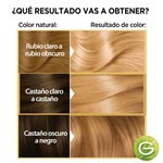 Nutrisse Kit de Coloración Permanente  colorissimo Tono 10.13  maracuya #4