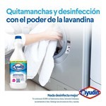 Ayudin Ropa Quita Manchas Blancos 2l #3 Ayudin Ropa Quita Manchas Blancos 2l #3