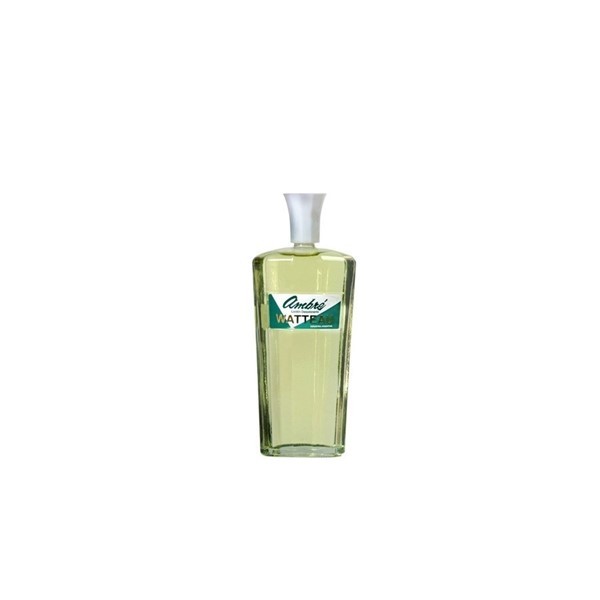 Watteau Ambre Colonia X 110 Ml. #1