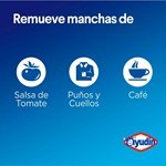 Ayudin Quitamanchas Ayudín Colores Vivos 1500 Ml #4