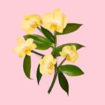 Gucci Flora Gorgeous Orchid Edp Presentación Fragancias 50 ml #7