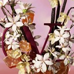 Valentino Born In Roma Donna Intense x50ml #7