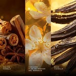 Odyssey Spectra Armaf EDP 100 ml #3