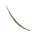 Tinta de Cejas Revlon Colorstay Semi-Permanente x 2,8 ml Soft Brown #4