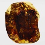 Perfume Her Intense| Eau de Parfum |Burberry|x 50 ml #6