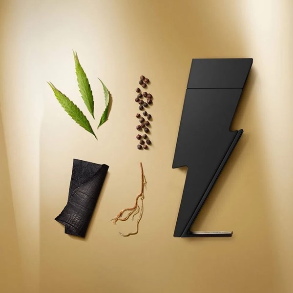 Carolina Herrera Bad Boy Le Parfum Ed. Limitada 150 ml Ed. Limitada alt