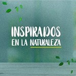 Inecto Peques Acondicionador Piojos Quasia +2 Años 400 ml #7