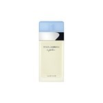 Dolce & Gabbana Light Blue Women EDT 100ml #1
