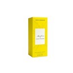 Adolfo Dominguez Fragancia Mimosa Coriandro F/W Edt 120 ml #3