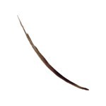 Tinta de Cejas Revlon Colorstay Semi-Permanente x 2,8 ml Dark Brown #4