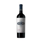 Vino Tinto Santa Julia Syrah En Botella 750 Cc. #1