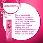 Sedal Shampoo Ceramidas 190 Ml #9