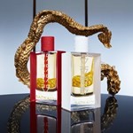 Sarkany Fragancia Dragoness Sublime Edp 50 ml Presentación (Ml) 50 ml #5