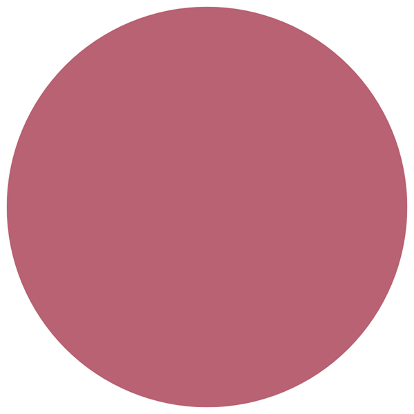 Labial en Barra Loreal París Color Riche Volume Matte Tono 482 Mauve Indompta alt