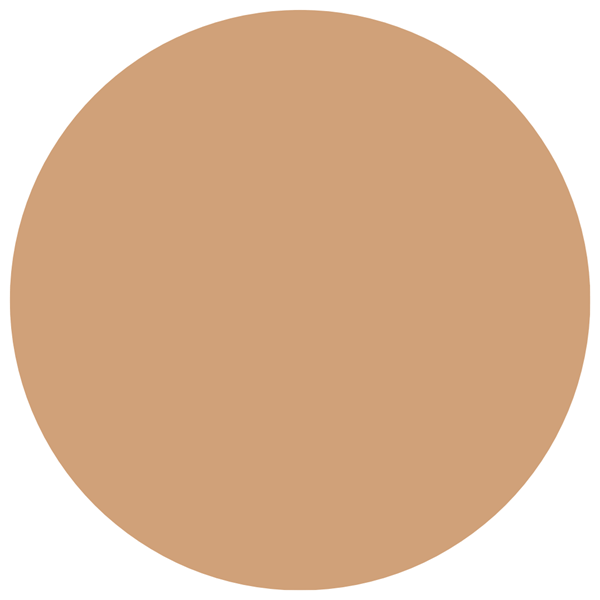 Base Líquida Maybelline Fit Me Fresh Tint Spf 50 6 alt