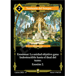 096 Santuario Del Bosque - Coste 2 #1