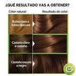 Garnier Kit Coloración Permanente Nutrisse Ultra 055 avellana #4