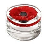 Kenzo Fragancia In The Air  Edp For Woman 100 ml #1