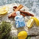 Light Blue Summer Vibes Pour Homme EDT x 125ml #3