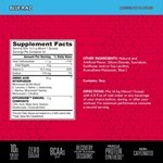 Bsn Suplemento Endurance And Recovery Aminoácidos Blue Raspberry 435 g #2