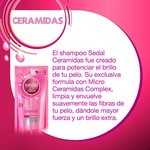 Sedal Shampoo Ceramidas Repuesto 300 ml #6
