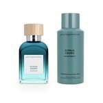Adolfo Dominguez Agua Fresca Citrus Cedro Cofre Edt Presentación 120 ml #3